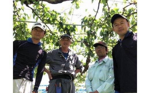 【ふるさと納税】【先行予約】浜田市旭町産赤梨 3.5kg（新高）4〜9玉＜10月中旬から発送開始予定＞ 梨 新高 ナシ 和梨 果物 フルーツ くだもの 先行予約 ふるさと納税 梨【002_1961】