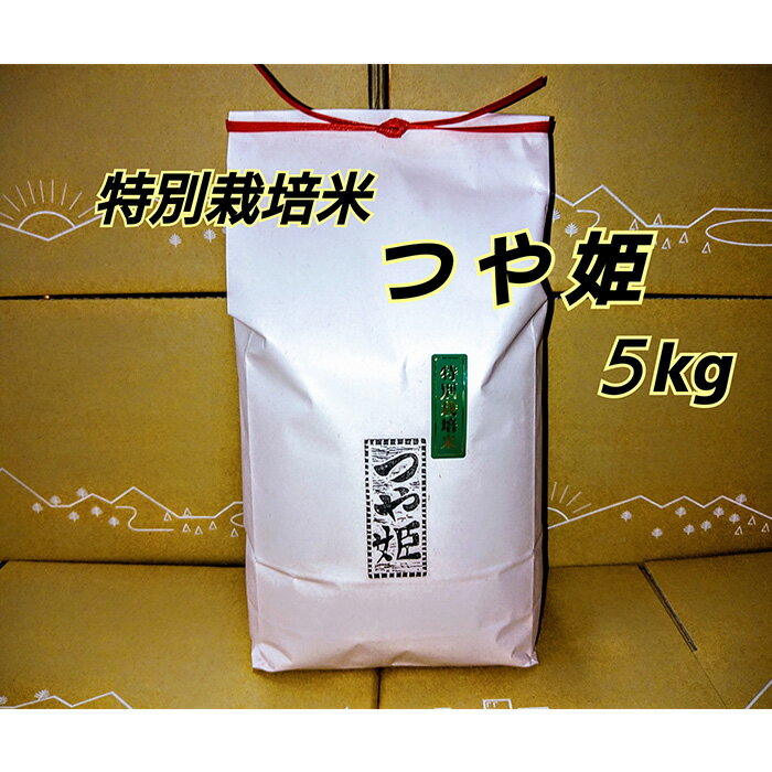 【ふるさと納税】【令和5年産】浜田市金城町産　農家直送特別栽培米　つや姫　5kg 米 お米 特別栽培米 精米 白米 ごはん 新生活 応援 準備 お取り寄せ 特産 おぐに米 5キロ 【1224】