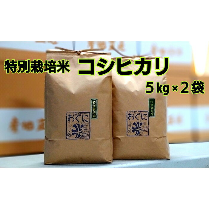 【ふるさと納税】【令和5年産】浜田市金城町産の美味しいコシヒカリ100％【おぐに米】10Kg 10キロ 米 おこめ コシヒカリ 白米 精米 特産品 ごはん お取り寄せ 小分け 【170】