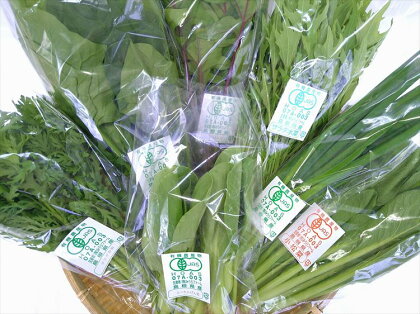 みうらファームが選んだ 旬の有機野菜厳選8品セット 野菜 有機野菜 セット 厳選 8品 旬 有機JAS認証 詰め合わせ 産地直送 【1347】