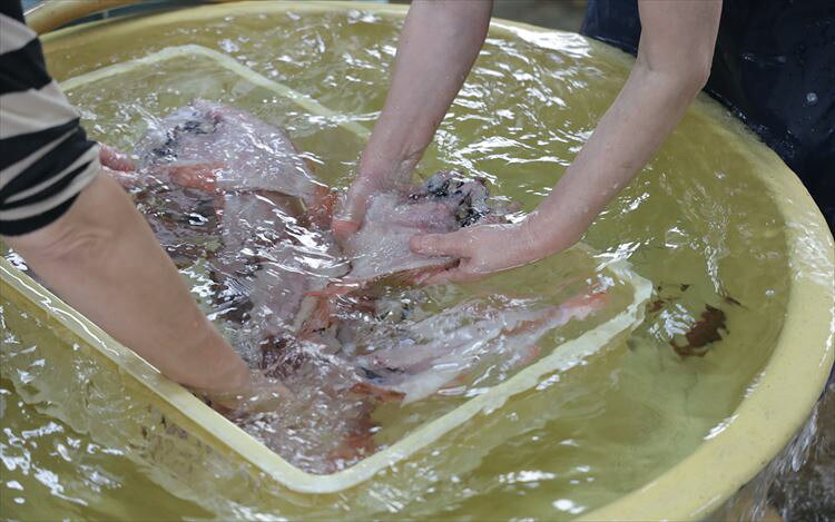 【ふるさと納税】【定期便】山陰浜田あけぼの丸が贈る高級干物四季の味（年6回偶数月発送）10,12,2,4月はのどぐろ他、6,8月は甘鯛他を配送 魚介類 のどぐろ 干物 干もの 一夜干し 定期 偶数月 6回 ふるさと納税 定期便 海鮮 【146_2038】 f322024-hamada-10002312 島根県浜田市 サンプル画像3