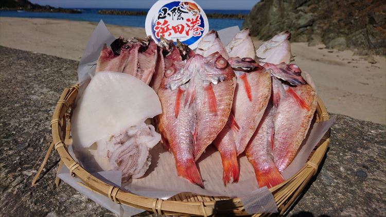 【ふるさと納税】しまね浜田の美味しいのどぐろ あじ カレイ 白いか 一夜干しセット 魚介類 魚貝類 魚 干物 干もの 一夜干し おかず つまみ セット 詰め合わせ 父の日 【1405】