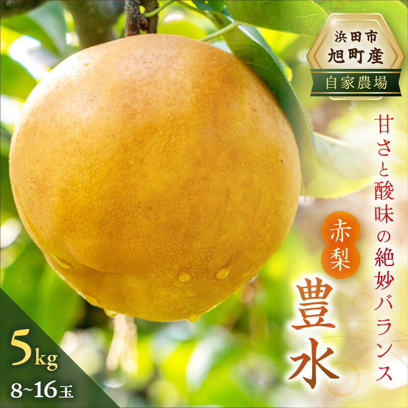 浜田市旭町産赤梨 5kg(豊水)8〜16玉 梨 豊水 ナシ 和梨 果物 フルーツ くだもの 先行予約 ふるさと納税 梨[002_1964]