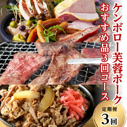 【3か月定期便】ケンボロー芙蓉ポーク おすすめ品3回コース 定期便 3回 豚肉 加工品 ハム ベーコン ウインナー 焼肉 BBQ バーベキュー 特産品 島根ポーク 真空パック お取り寄せ グルメ 食品 【1533】