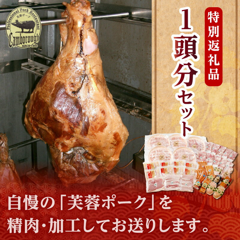 �ڤդ뤵��Ǽ�ǡۡ�DLG����ƥ���2024��޼��ޡۥ���ܥ������֥ݡ���1Ƭʬ�����̾��ʡ� �� ���� �� 1Ƭ 60kg ������ �������� �Х� �ҥ� ����� �ߥ�� �֥����� �ϥ� ���������� ��002_1952��