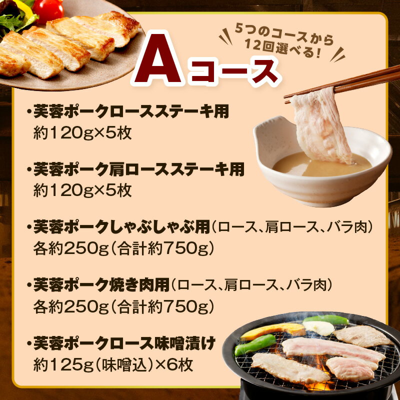 �ڤդ뤵��Ǽ�ǡۡڥ�ӥ塼CP�оݡۡ�DLG����ƥ���2024��޼��ޡۡ�����ءۡ����ĳ���400ǯ��ǰ�ۥ���ܥ������֥ݡ��������碌12�󥳡��� ��� 12�� �����碌 �� ���� �ϥ� �١����� ������ʡ� ����֤���� ���� ��002_1957��