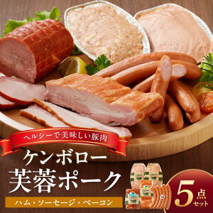 【ふるさと納税】【父の日 お中元】ケンボロー芙蓉ポーク浜田市産ハム・ソーセージセット5種 加工品 ハム ソーセージ セット 詰め合わせ ギフト 贈り物 【002_0920】