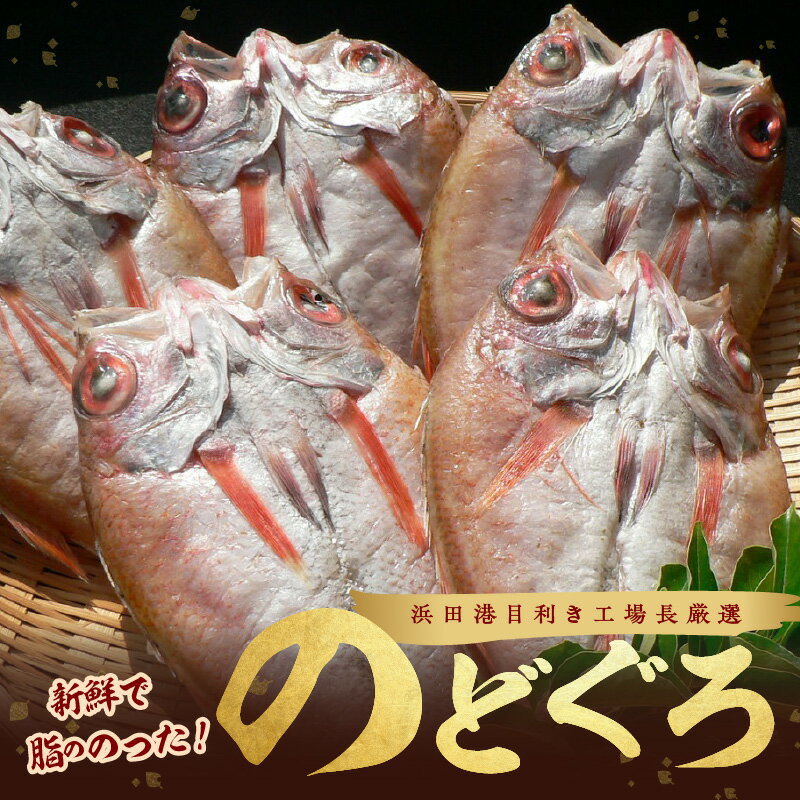 【ふるさと納税】のどぐろ干物（4～5枚 計600g 20～22cm前後）浜田港目利き工場長厳選「のどぐろ」河野乾魚店 魚 干物 干もの 乾物 一夜干し のどぐろ セット 厳選 冷凍 個包装 産地直送 【156】