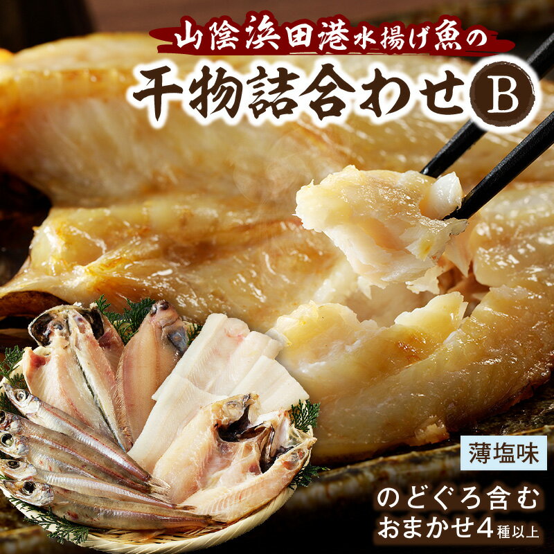 干物 【ふるさと納税】浜田港水揚げ魚の薄塩味干物B（のどぐろを含む） 魚介類 魚貝類 無添加 薄塩味 干物 干もの 一夜干し セット 人気 お取り寄せ 【964】