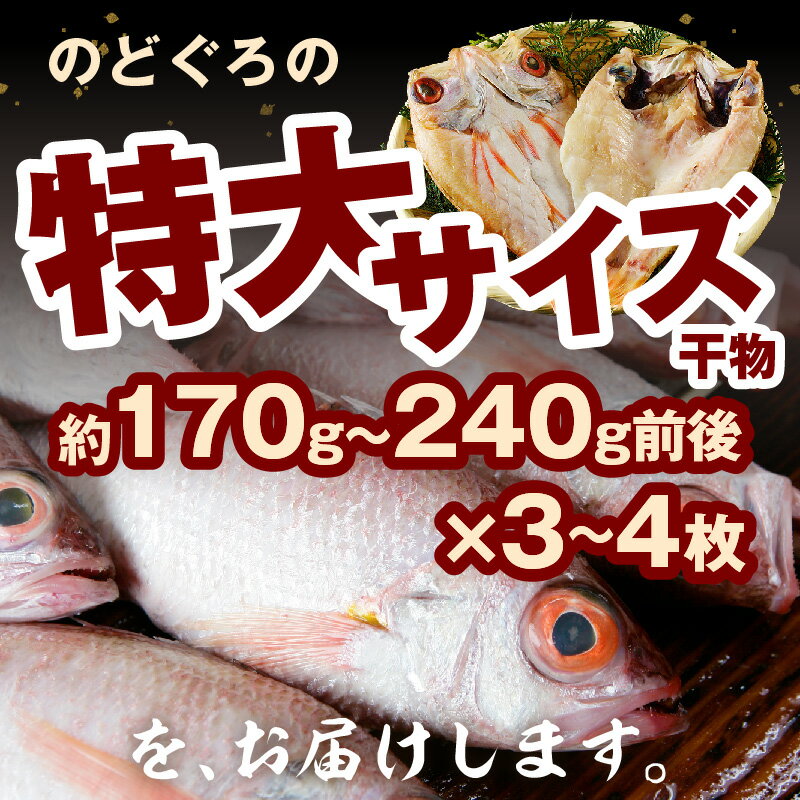 【ふるさと納税】のどぐろ干物 特大3~4枚（計700g前後）のどぐろ本来の旨味に出会う渾身の干物 河野乾魚店 魚介類 魚貝類 干物 干もの 一夜干し お祝い お取り寄せ グルメ 【019_1949】