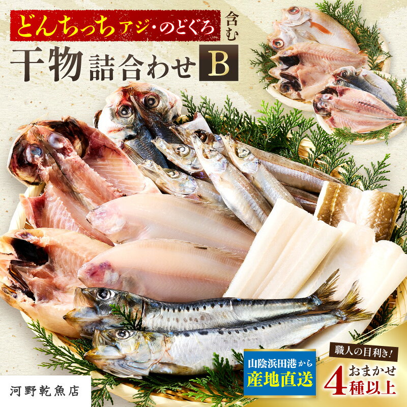 浜田港水揚げ魚の薄塩味干物B(のどぐろを含む) 個包装 小分け 魚介類 魚貝類 薄塩味 干物 干もの 一夜干し セット 人気 お取り寄せ [019_1946]