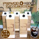 【数量限定】 夏の自家焙煎アイスコーヒー1L×5本のセット＜5月18日より順次発送＞ 飲料 コーヒー アイスコーヒー 珈琲 無糖 焙煎 1リットル 5本 セット 数量限定 自家焙煎 【1193】