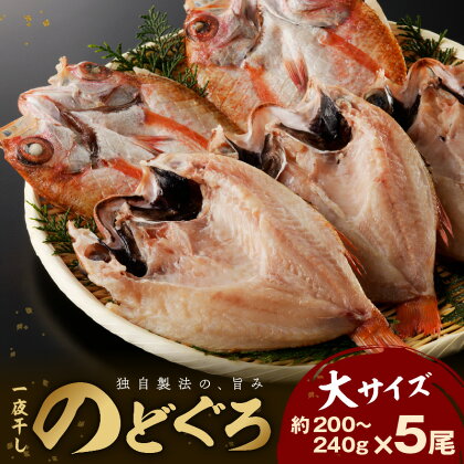 【総合評価4.83 獲得！！】大秀商店の「のどぐろ（大）」（5尾入） 魚 干物 ひもの 干もの 乾物 一夜干し のどぐろ ふるさと納税 のどくろ 【665】