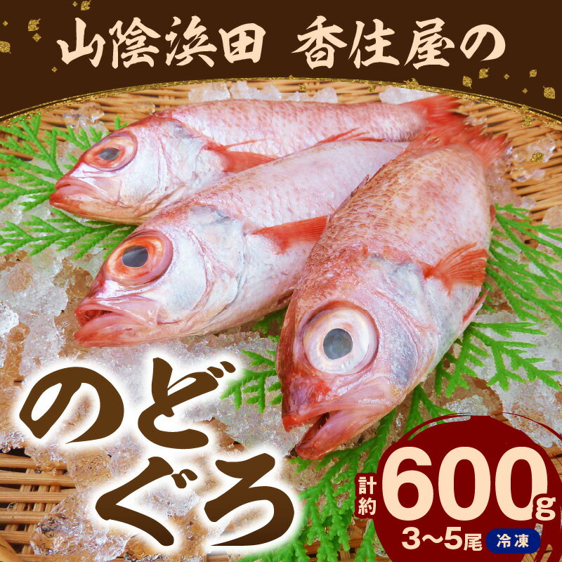 【ふるさと納税】【父の日】山陰浜田 香住屋の「のどぐろ」煮付け・塩焼き用（3～5尾・600g） のどぐろ 煮付け 塩焼き 下処理済 特産品 おすすめ 海鮮 父の日 ギフト 贈り物【107】