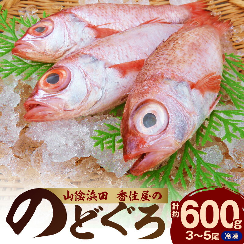 【ふるさと納税】【父の日】山陰浜田 香住屋の「のどぐろ」煮付け・塩焼き用（3～5尾・600g） のどぐろ 煮付け 塩焼き 下処理済 特産品 おすすめ 海鮮 父の日 ギフト 贈り物【107】