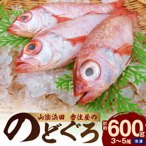 【ふるさと納税】山陰浜田 香住屋の「のどぐろ」煮付け・塩焼き用（3～5尾・6...