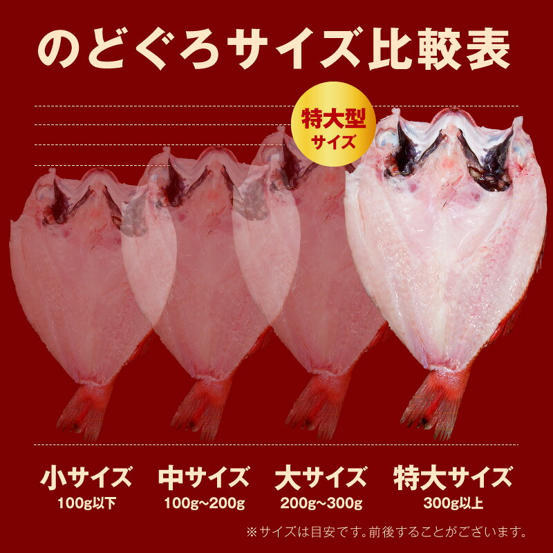 【ふるさと納税】のどぐろ一夜干し無添加個包装1枚 「超希少サイズ・特大型300g超重量」産地直送 干物 魚 一夜干し 人気 大きい 天然 ボリューム ノドグロ 【005_0130】