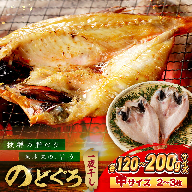 [テレビで紹介されました]のどぐろ一夜干し個包装2〜3枚「中型サイズ120〜200gサイズ」 魚 魚介類 のどぐろ 一夜干し 干もの のどぐろ 個包装 [005_2085]