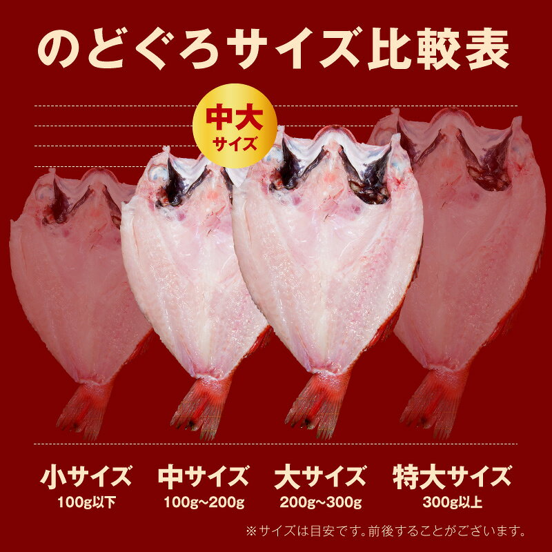 【ふるさと納税】のどぐろ一夜干し無添加個包装2〜3枚「中〜大型150〜250gサイズ」 産地直送 干物 魚 一夜干し 人気 大きい 天然 ボリューム ノドグロ 【005_2087】