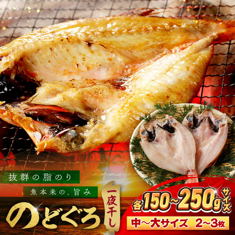 【ふるさと納税】のどぐろ一夜干し無添加個包装2〜3枚「中〜大型150〜250gサイズ」 産地直送 干物 魚 一夜干し 人気 大きい 天然 ボリューム ノドグロ 【005_2087】
