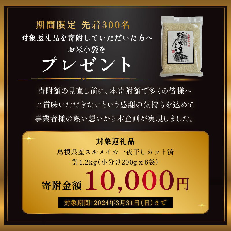 【ふるさと納税】 2024年4月より寄附額改定予定【レビューCP対象】島根県産スルメイカ一夜干しカット済 計1.2kg（小分け200gx6袋） いか スルメ 一夜干し 1.2キロ カット済 おつまみ 小分け 個別包装 少量 寄附額改定 期間限定 数量限定 プレゼント 【1780】