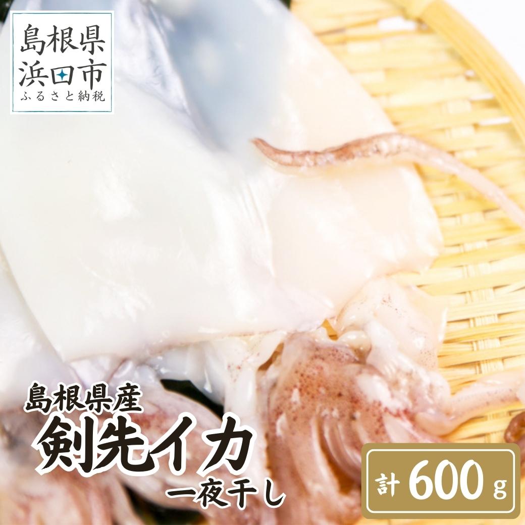 【ふるさと納税】【父の日】【お中元】島根県産剣先イカ一夜干し　計600g（4～6枚）個包装・真空袋・ギフト 真空 個包装 訳あり 干物 白イカ 保存料不使用 大容量 剣先イカ 一夜干し 父の日 ギフト 贈り物 お中元 【1781】