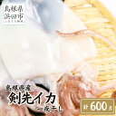 【ふるさと納税】【レビューCP対象】島根県産剣先イカ一夜干し 計600g(4〜6枚)個包装・真空袋・ギフト 真空 個包装 訳あり 干物 白イカ 保存料不使用 大...