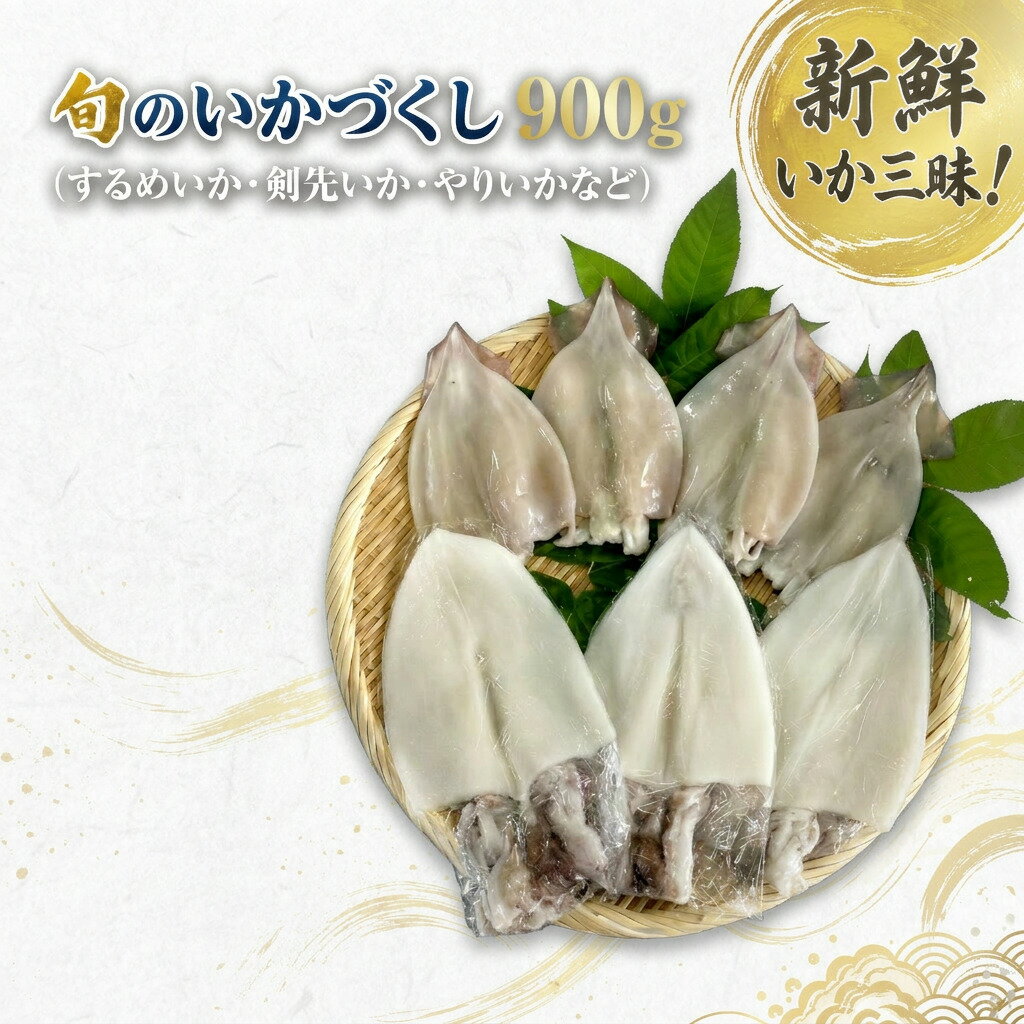旬のいかづくし 計900g いか するめいか 剣先いか 白いか やりいか 詰め合わせ 開き 贈答 ふるさと納税 いか 烏賊 ケンサキイカ 詰合せ セット いかの開き 開き干し 贈り物 プレゼント ギフト のし 熨斗 旬 新鮮 [033_1791]