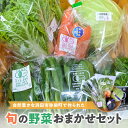 【ふるさと納税】自然豊かな浜田市弥栄町で作られた「旬の野菜おまかせセット」 野菜 野菜セット 旬 詰め合わせ セット おまかせ おたのしみ ギフト 【065_0...