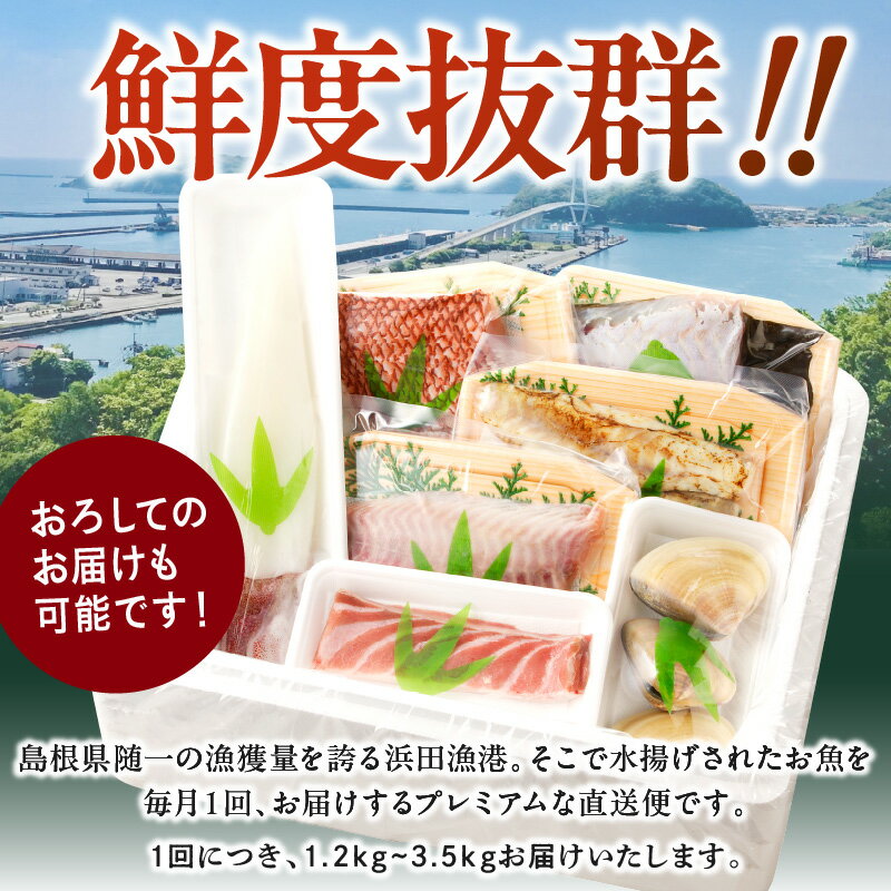 【ふるさと納税】【レビューCP対象】【総合評価4.70獲得！鮮魚屋にお任せ！大満足の定期便】【定期便】 この男の目利き！～浜田の旨い鮮魚お届けコース～【3回 6回 12回】 定期便 セット 3回 海鮮セット 海鮮 鮮魚 セット 下処理済み 楽天市場 おすすめ 返礼品 お取り寄せ