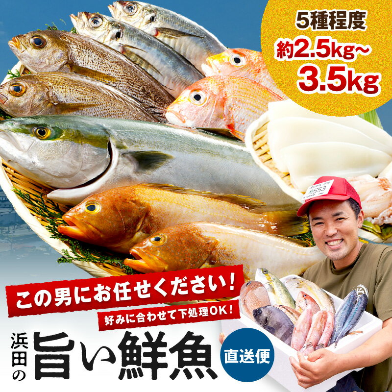 【ふるさと納税】【レビューCP対象