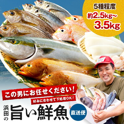 【ふるさと納税】【レビューCP対象】この男に任せてみませんか〜浜田の旨い鮮魚直送便〜 海鮮 鮮魚 詰め合わせ セット おまかせ 人気 お取り寄せ 【006_2043】 - Image 1