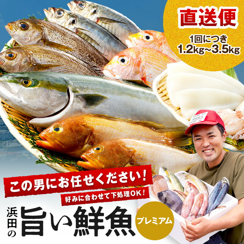浜田のプレミアム鮮魚〜この男シリーズ〜 海鮮 鮮魚 詰め合わせ セット おまかせ 人気 お取り寄せ [006_0855]
