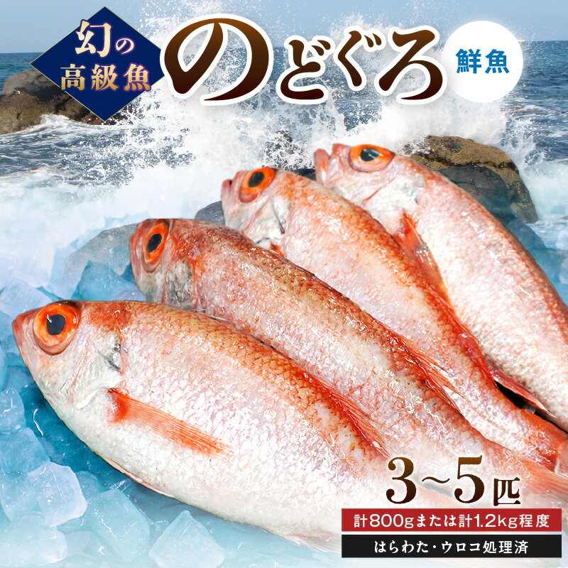 [レビューCP対象]幻の高級魚「のどぐろ(鮮魚)」計800g〜1.2kg程度 魚介 のどぐろ 鮮魚 高級魚 ふるさと納税 魚 旬 期間限定