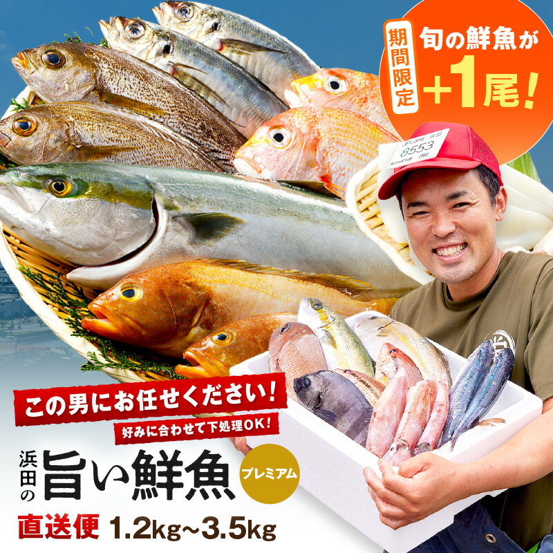 [期間限定特集] 浜田のプレミアム鮮魚〜この男シリーズ〜 +旬の鮮魚1匹 海鮮 鮮魚 詰め合わせ セット おまかせ 人気 お取り寄せ [006_2059]