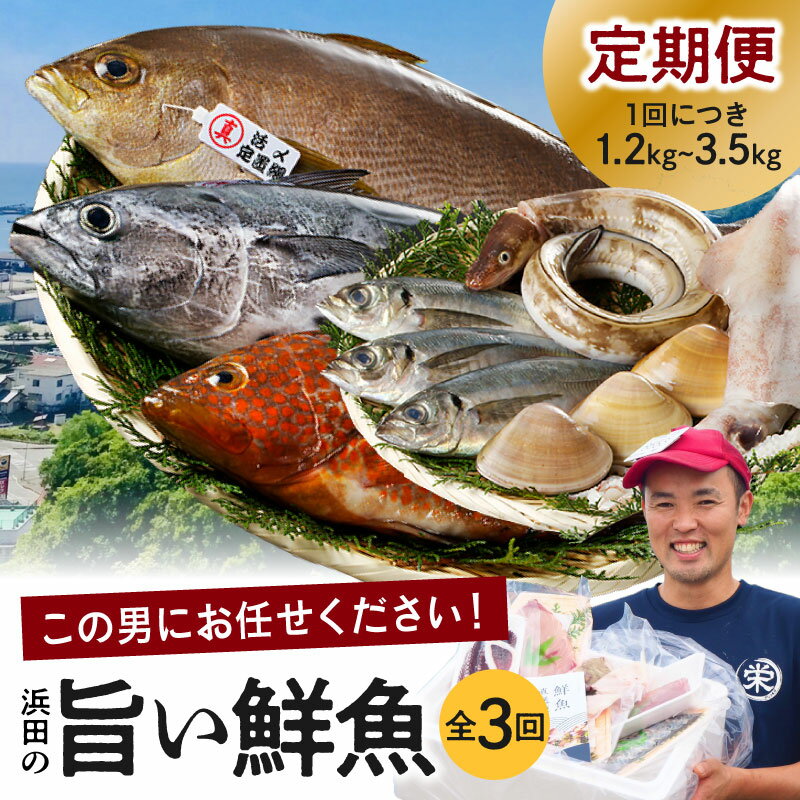 魚介類・水産加工品(セット・詰め合わせ)人気ランク7位　口コミ数「26件」評価「4.69」「【ふるさと納税】【レビューCP対象】【総合評価4.83獲得！鮮魚屋にお任せ！大満足の定期便】【定期便】 この男の目利き！～浜田の旨い鮮魚3回お届けコース～ 定期便 セット 3回 海鮮セット 海鮮 鮮魚 セット 下処理済み 楽天市場 おすすめ 返礼品 お取り寄せ 人気 【11】」