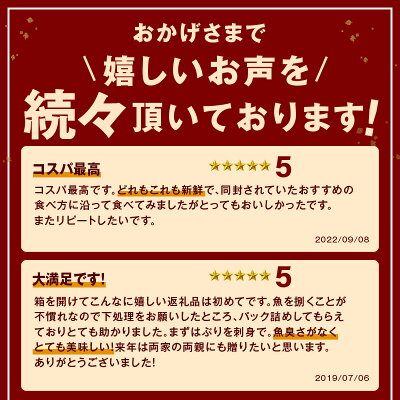 【ふるさと納税】【レビューCP対象】この男に任せてみませんか〜浜田の旨い鮮魚直送便〜 海鮮 鮮魚 詰め合わせ セット おまかせ 人気 お取り寄せ 【006_2043】 - Image 3