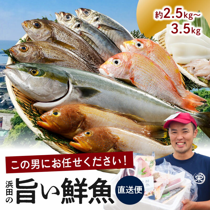 【ふるさと納税】【レビューCP対象】この男に任せてみませんか～浜田の旨い鮮魚直送便～ 海鮮 鮮魚 詰..