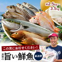 2位! 口コミ数「80件」評価「4.43」【レビューCP対象】この男に任せてみませんか～浜田の旨い鮮魚直送便～ 海鮮 鮮魚 詰め合わせ セット おまかせ 人気 お取り寄せ 【12】