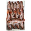 【ふるさと納税】山陰浜田港水揚げ 幻の高級魚のどぐろ(鮮魚)ひと箱 【006_1996】