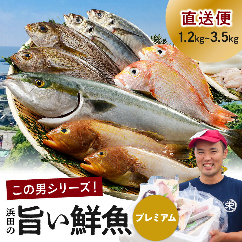 33位! 口コミ数「2件」評価「3.5」【レビューCP対象】浜田のプレミアム鮮魚～この男シリーズ～ 海鮮 鮮魚 詰め合わせ セット おまかせ 人気 お取り寄せ 【855】