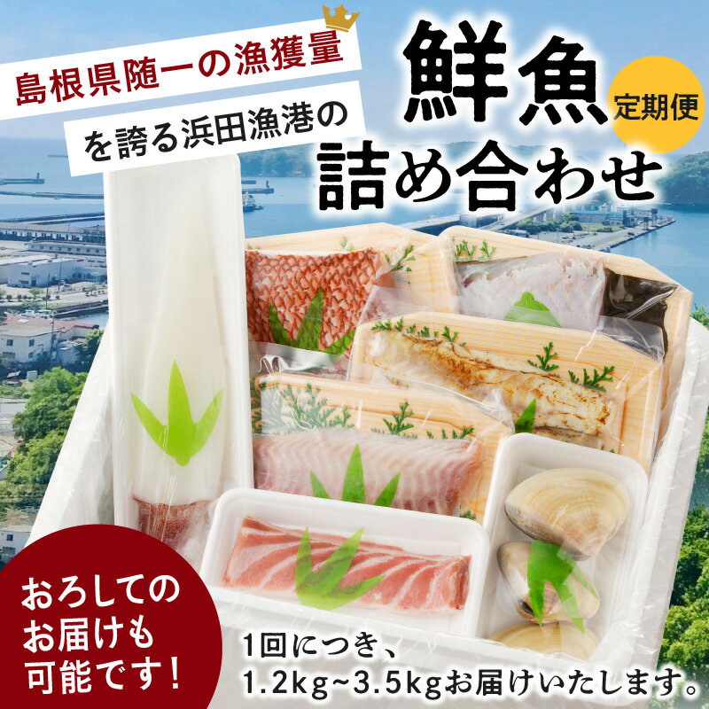 【ふるさと納税】【レビューCP対象】【定期便】この男、極める！〜浜田の旨い鮮魚12か月毎月お届けコース〜 ふるさと納税 定期便 鮮魚 魚介類 魚貝類 お楽しみ定期便 ふるさと納税 定期便 海鮮 【006_2044】