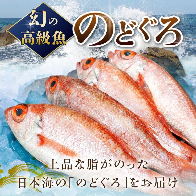 【ふるさと納税】幻の高級魚「のどぐろ（鮮魚）」計800g〜1.2kg程度 選べる 内容量 魚介 のどぐろ アカムツ 鮮魚 高級魚 下処理済み