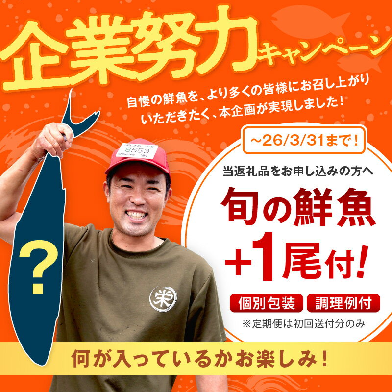 【ふるさと納税】【期間限定特集】 浜田のプレミアム鮮魚～この男シリーズ～ ＋旬の鮮魚1匹 海鮮 鮮魚 詰め合わせ セット おまかせ 人気 お取り寄せ 【006_2059】