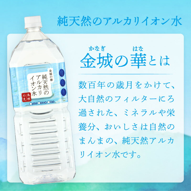 【ふるさと納税】【レビューCP対象】 ミネラルウォーター 金城の華 【500ml 1L 2L/1回 6回】選べる 内容量 水 飲料水 ふるさと納税 水 ペットボトル 天然水 アルカリイオン アルカリイオン水 防災 災害 備蓄 長期保存 新生活 応援 準備