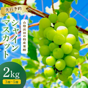 【ふるさと納税】【2024年産】山陰浜田の特産果樹「シャインマスカット」2kg＜8月下旬から発送開始予定＞ 【1152】