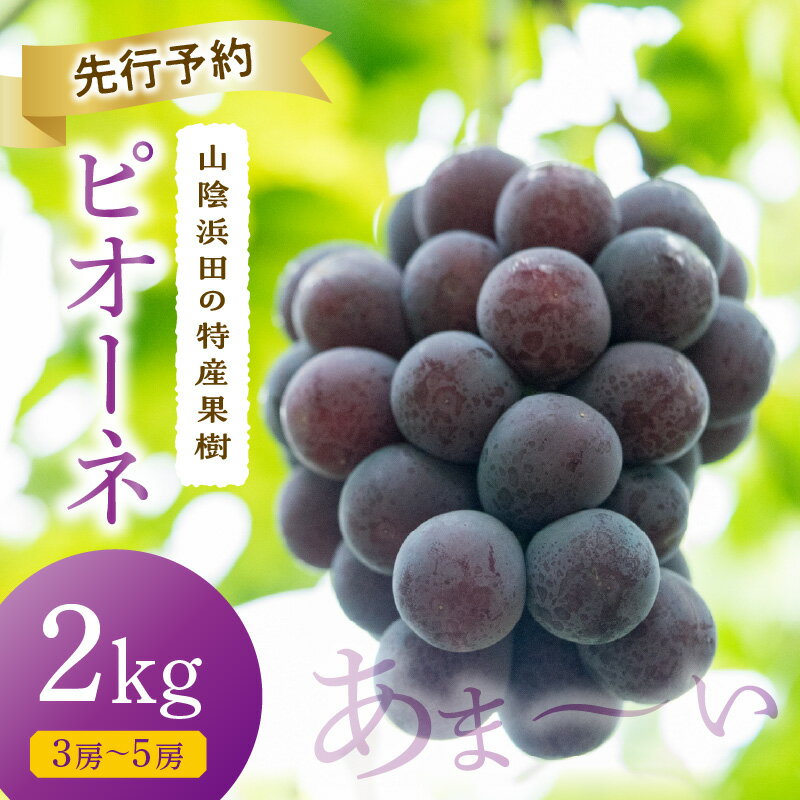 【ふるさと納税】【先行予約】【2026年産】山陰浜田の特産果樹ピオーネ（2kg）＜8月下旬より発送＞ ふるさと納税 ぶどう ふるさと納税 ピオーネ ブドウ 葡萄 フルーツ くだもの 果物 【010_1945】