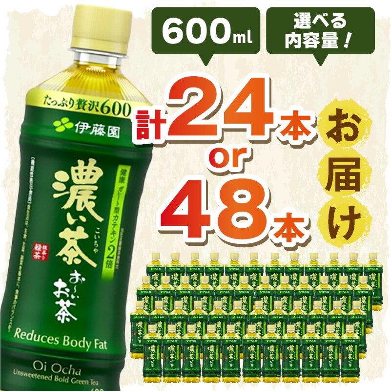 【ふるさと納税】お〜いお茶 濃い茶【PET 600ml×24本 or 48本】 選べる 本数 飲料 ドリンク お茶 濃茶 ペットボトル 新生活 応援 準備