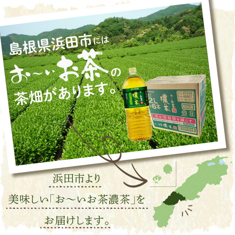【ふるさと納税】お〜いお茶 濃い茶【PET 2L×6本 or 12本】選べる 本数 伊藤園 お...