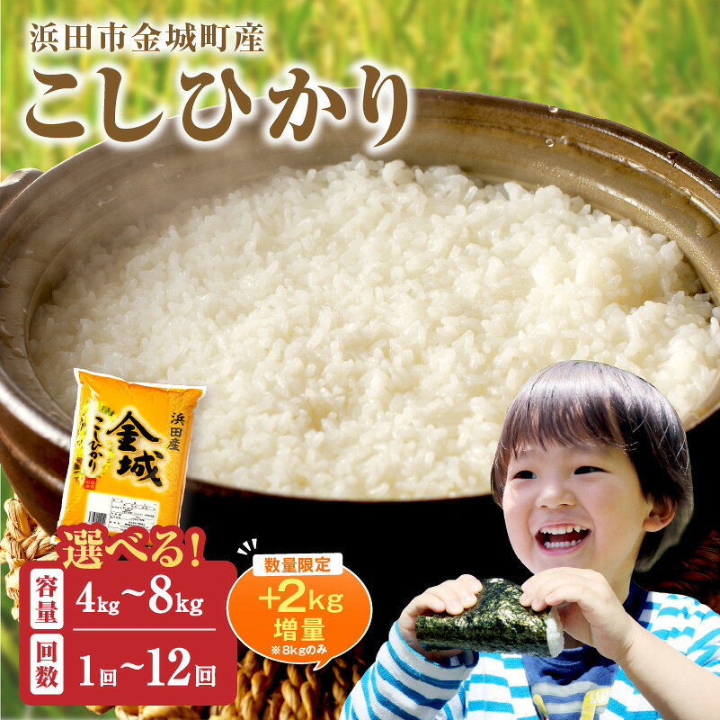 10位! 口コミ数「33件」評価「4.64」【生活応援品】【年内配送】【令和7年産】【数量限定】【定期便】浜田市金城町産「こしひかり」【4kg～10kg/1回～12回】 選べる 定期便 こしひかり お取り寄せ 特産 お米 精米 白米 ごはん ご･･･ 